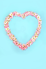 Image showing Heart Shaped Wreath with Apple Blossom Spring Beltane Flowers