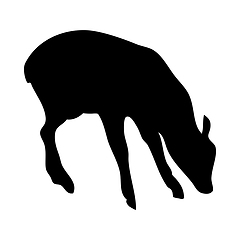 Image showing Duiker Antelope Silhouette
