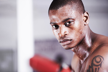 Image showing Man, boxer and portrait in gym, sweat and face for workout, boxing and strong. Exercise, sports and training for power, self defense and concentration for challenge, mma and fighting skills