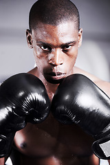Image showing Boxing, gloves and portrait of black man with confidence, fitness and workout challenge at sports club. Strong body, face of athlete or boxer in gym with sweat and warrior power in competition fight.