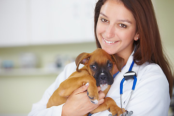 Image showing Vet service portrait, dog and happy woman for medical help, wellness healing career or animal healthcare support. Veterinary aid, specialist trust and veterinarian smile for pet canine health care