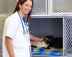Image showing Vet service portrait, cat and happy woman, expert or professional for medical help, kitty examination or animal healthcare. Veterinary patient, cage kitten and veterinarian for pet feline health care