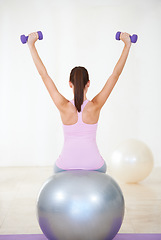 Image showing Woman, back and workout on ball, dumbbells and balance in gym, training and strong muscle in arms. Girl, workout and exercise with pilates, weightlifting and hard work for health, wellness and body