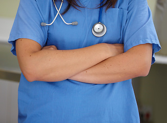 Image showing Woman, doctor and arms crossed of professional veterinarian for healthcare or domestic animal service. Closeup of female person, nurse or medical surgeon in confidence at pet shelter, clinic or vet