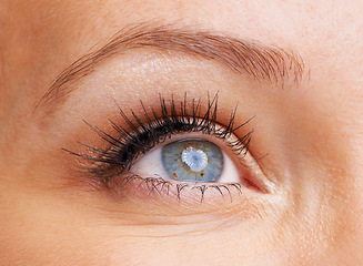 Image showing Eyes, woman and closeup with eyelashes, makeup and vision with iris. Zoom, macro and eyeball of a female model for optometry, future and retina for perspective and cosmetics with lash extensions