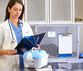 Image showing Woman, veterinarian and surgeon with xray at animal shelter for examination, tests or diagnosis on injury at vet. Female person, nurse or medical pet professional looking at CT scan or MRI at clinic