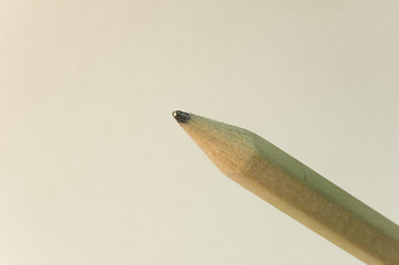 Image showing The pen