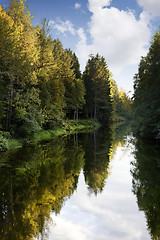 Image showing Fall Forest