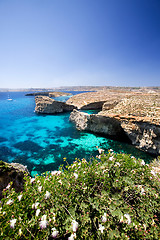 Image showing Malta Landscape