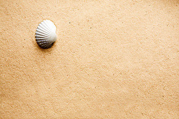 Image showing Sand Shell Background