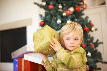 Image showing Christmas, listening and a boy opening a present under a tree in the morning for celebration or tradition. Kids, gift and shaking a box with an adorable young child in the living room of his home