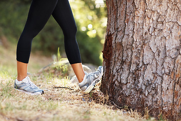 Image showing Closeup, legs and tree with woman, stretching and fitness with exercise, forest or training for wellness, fresh air or outdoor. Person, runner or athlete with sneakers, workout or warm up with health