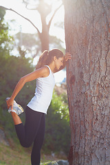 Image showing Woman, feet and stretching by tree for fitness, workout or runner with training sport in nature or forest. Young athlete or tired person stop with legs, muscle or balance in woods for exercise