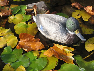 Image showing Plastic duck