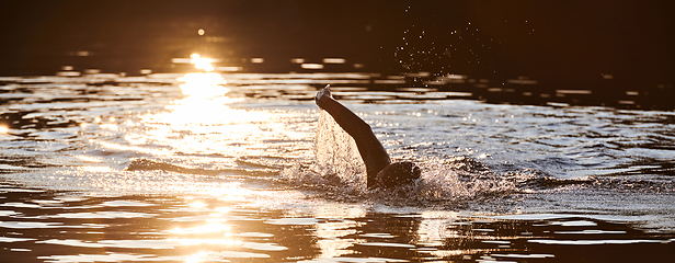 Image showing Triathlon athlete swimming on lake in sunrise wearing wetsuit