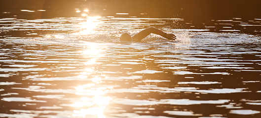 Image showing Triathlon athlete swimming on lake in sunrise wearing wetsuit