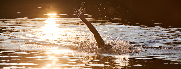 Image showing Triathlon athlete swimming on lake in sunrise wearing wetsuit