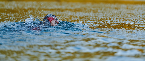 Image showing Triathlon athlete swimming on lake in sunrise wearing wetsuit