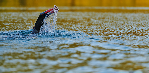 Image showing Triathlon athlete swimming on lake in sunrise wearing wetsuit