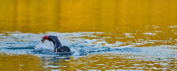 Image showing Triathlon athlete swimming on lake in sunrise wearing wetsuit