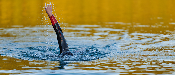 Image showing Triathlon athlete swimming on lake in sunrise wearing wetsuit