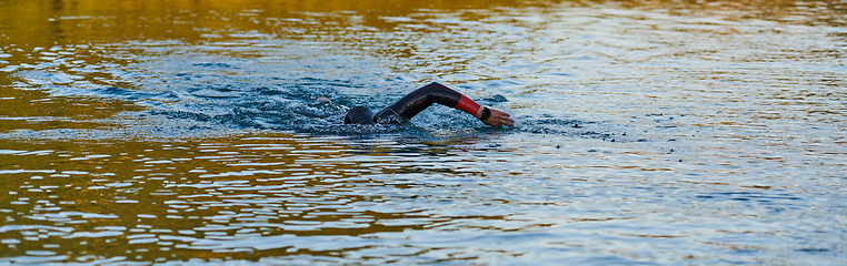 Image showing Triathlon athlete swimming on lake in sunrise wearing wetsuit