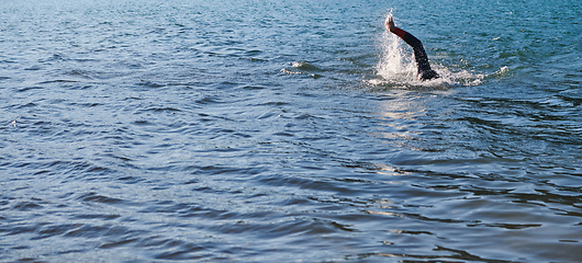 Image showing Triathlon athlete swimming on lake in sunrise wearing wetsuit