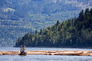 Image showing Coastal Logging