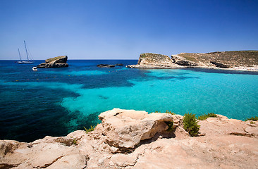 Image showing Blue Lagoon Malta