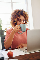 Image showing Coffee, happy woman or designer with laptop for research, technology or stats analysis on website. Data analytics, typing or female person in office drinking tea, working on update or reading news