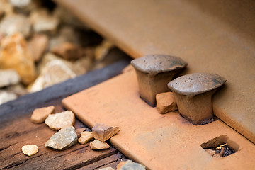 Image showing Railroad Spike