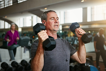 Image showing Old man, senior fitness and dumbbells at a gym for weightlifting, challenge or workout, training or bodybuilding. Biceps, arms and elderly person with hand weight for strength, mindset or exercise