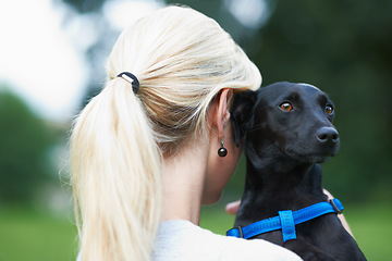 Image showing Woman, dog and animal love at field park or together bonding, training on backyard grass. Female person, pet and hug puppy as owner or health exercise or relax in garden, care trust or friendship