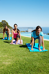 Image showing Ocean, yoga and group of women on grass together for fitness, exercise or mindfulness resort. Nature, pilates and happy friends at outdoor holistic health retreat for wellness, balance and sunshine.