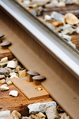 Image showing Railroad Spike