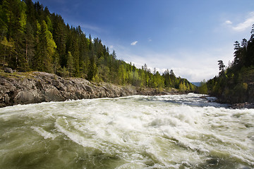 Image showing Forest River