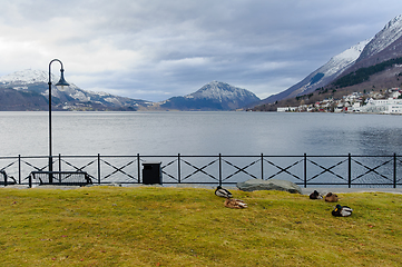 Image showing Serene Lakeside View With Ducks Resting on the Grass in a Quaint