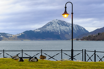 Image showing Illuminated Street Lamp Overlooking a Peaceful Lake Scene With S