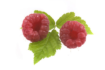 Image showing raspberry