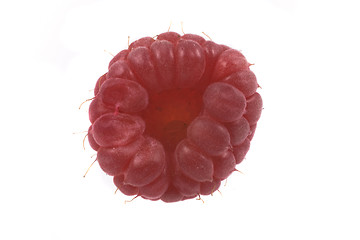 Image showing raspberry