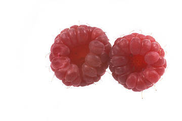 Image showing raspberry