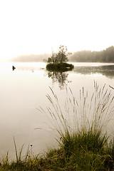 Image showing Fog on Lake