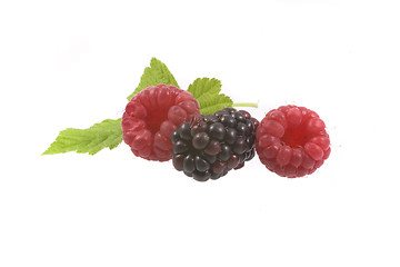 Image showing raspberry