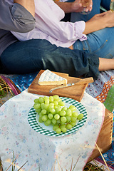 Image showing Couple, cheese and grapes for picnic in park on anniversary, date or celebration together in summer. Healthy food, basket and people closeup on blanket, outdoor on grass and brunch, meal or snack