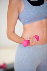 Image showing Dumbbells, hands and woman in gym for fitness, bodybuilder workout and exercise to lose weight. Sports club, weightlifting and closeup of person training with weights for wellness, health or strength