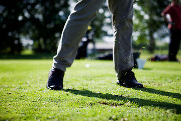 Image showing Golf Swing