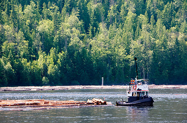 Image showing Coastal Logging