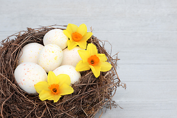 Image showing Easter Nest with Decorated Eggs and Narcissus Flowers