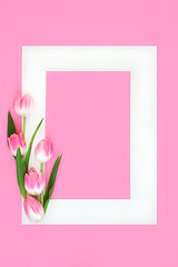 Image showing Spring and Easter Pink Tulip Flower Background Frame