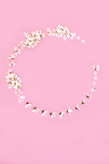 Image showing Cherry Blossom Flower Spring Beltane Wreath